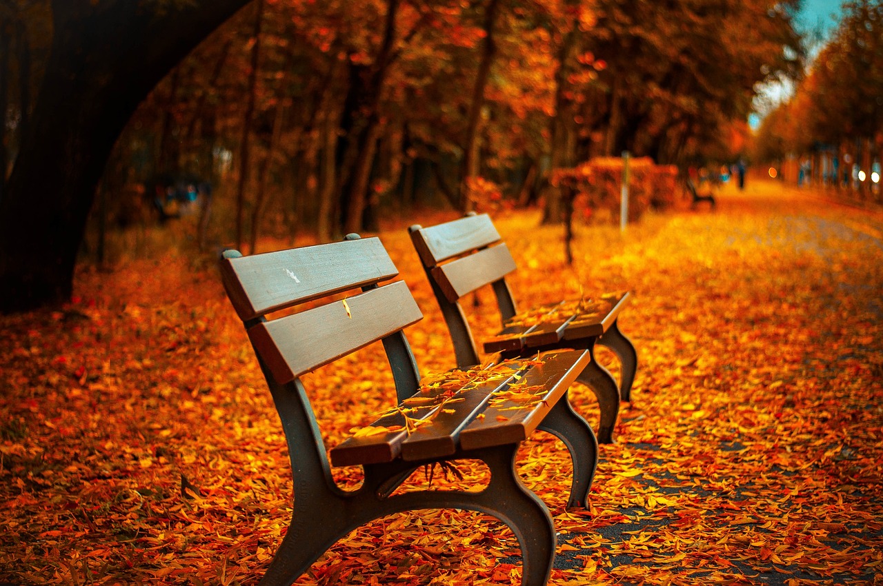 Autumn Benches